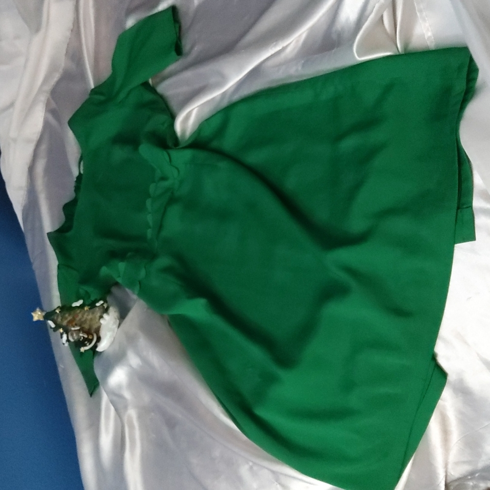 💚🌲 ON SALE 🌲🌲Cremieux Green shortleeves dress size 10🌿